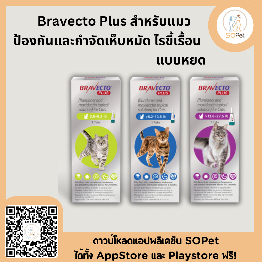 Bravecto Plus (แบบหยดสำหรับแมว) ป้องกันและยับยั้งเห็บหมัด ไรขี้เรื้อน