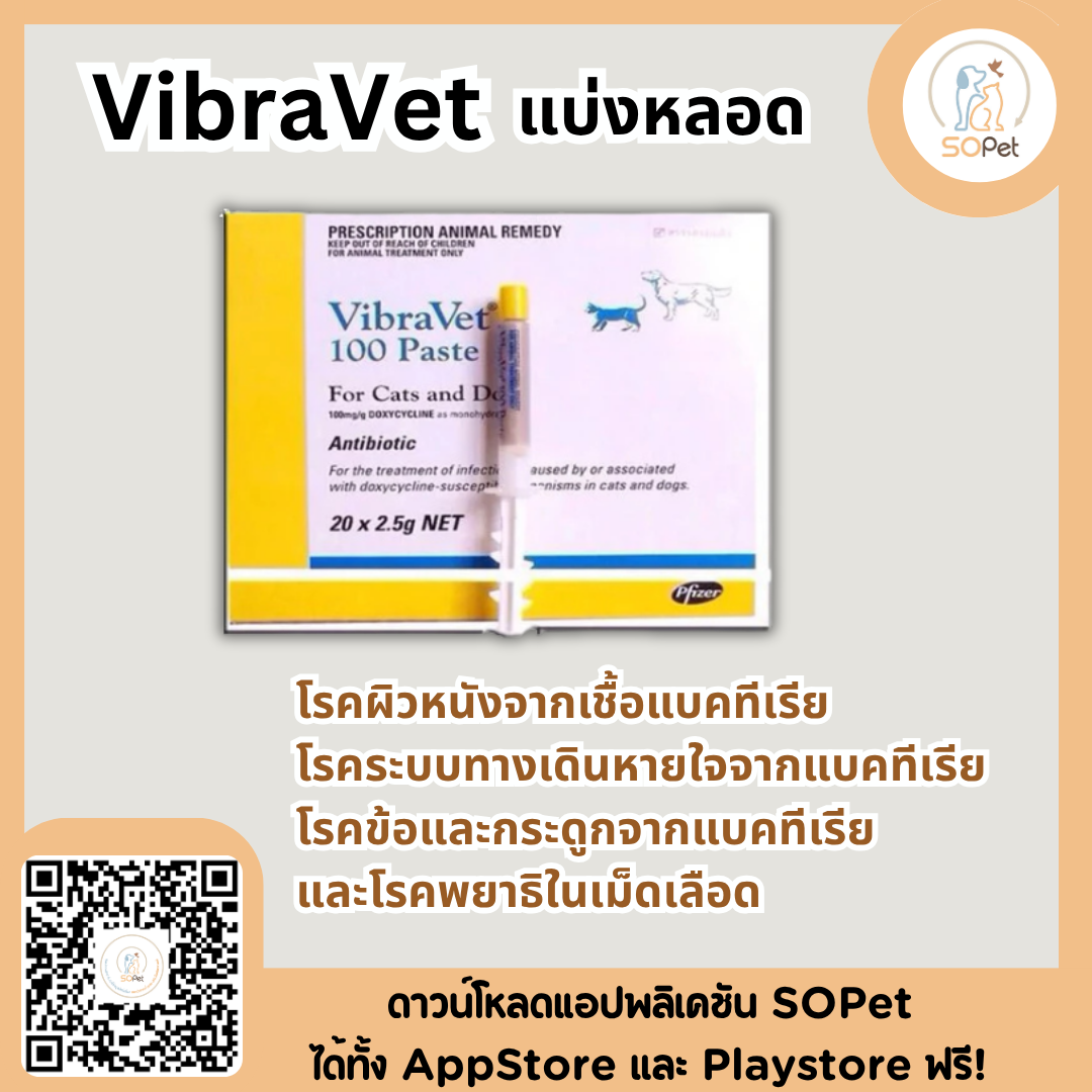 VibraVet แบ่งหลอด  ไวบร้า เวท ก้างปลา สำหรับสุนัข แมว สัตว์เล็ก (1 หลอด)
