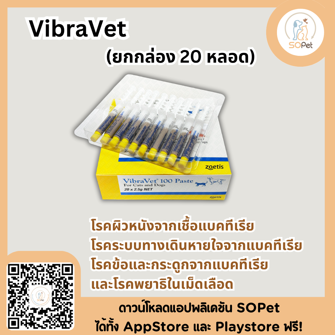 VibraVet ยกกล่อง!! ไวบร้า เวท ก้างปลา สำหรับสุนัข แมว สัตว์เล็ก 20 หลอด (1 กล่อง)
