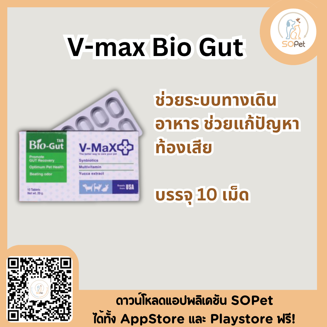 V-max Bio Gut ช่วยระบบทางเดินอาหาร ช่วยแก้ปัญหาท้องเสีย บรรจุ 10 เม็ด V max biogut vmax
