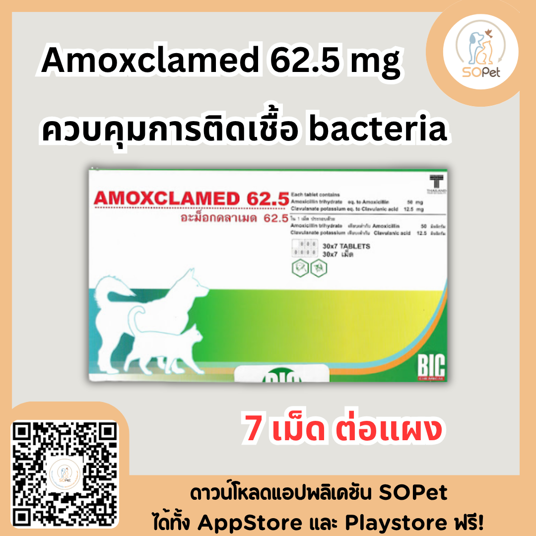Amoxclamed 62.5 ผลิตภัณฑ์ดูแลการติดเชื้อ bacteria (7เม็ดต่อแผง)