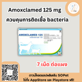 Amoxclamed ผลิตภัณฑ์ควบคุมการติดเชื้อ 125 mg (7เม็ดต่อแผง)