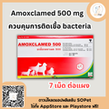 Amoxclamed ควบคุมการติดเชื้อ 500 mg (7เม็ดต่อแผง)
