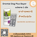 แบ่งแผง (6เม็ด)🔥!! Drontal Dog Plus Bayer ถ่ายพยาธิสุนัข แบ่งขาย1แผงมี 6เม็ด