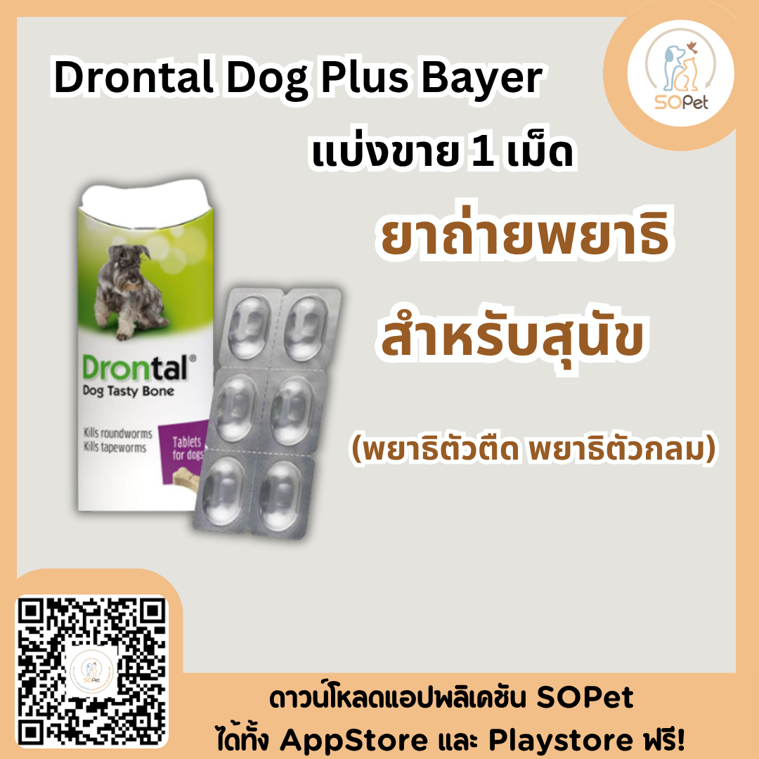 Drontal Dog Plus Bayer ถ่ายพยาธิสุนัข แบ่งขาย 1 แผงมี 6 เม็ด