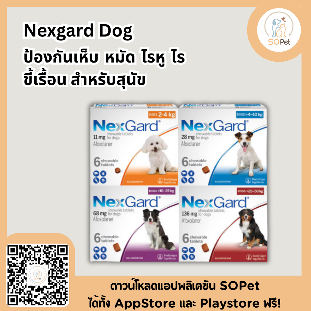 Nexgard Dog กล่องขาว เม็ดเดียว ครบ จบ เห็บหมัด ป้องกันเห็บ หมัด ไรหู ไรขี้เรื้อน สำหรับสุนัข