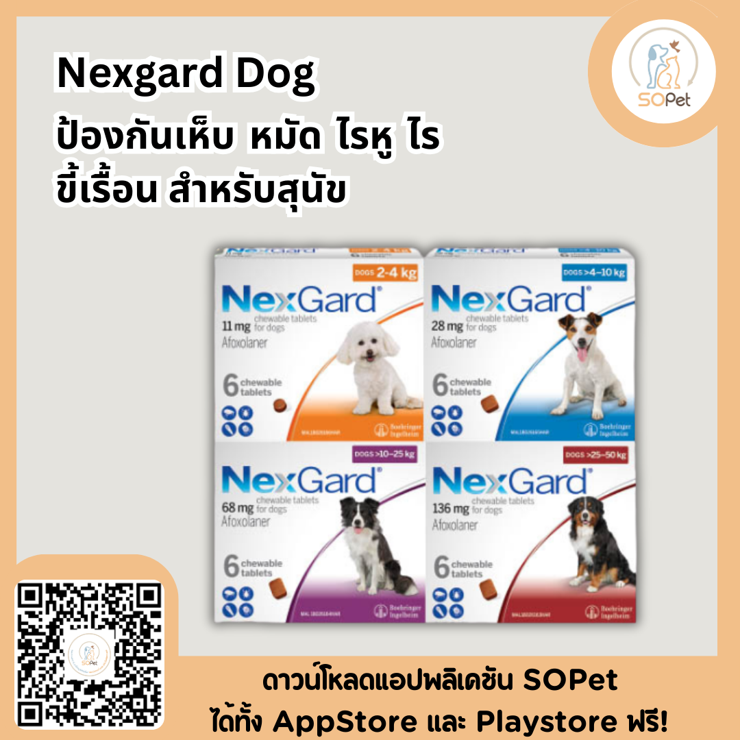 Nexgard Dog กล่องขาว เม็ดเดียว ครบ จบ เห็บหมัด ป้องกันเห็บ หมัด ไรหู ไรขี้เรื้อน สำหรับสุนัข