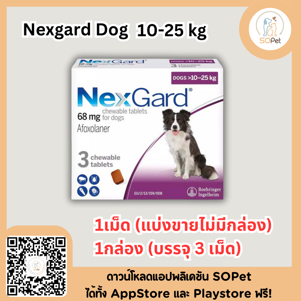 Nexgard Dog กล่องขาว เม็ดเดียว ครบ จบ เห็บหมัด ป้องกันเห็บ หมัด ไรหู ไรขี้เรื้อน สำหรับสุนัข