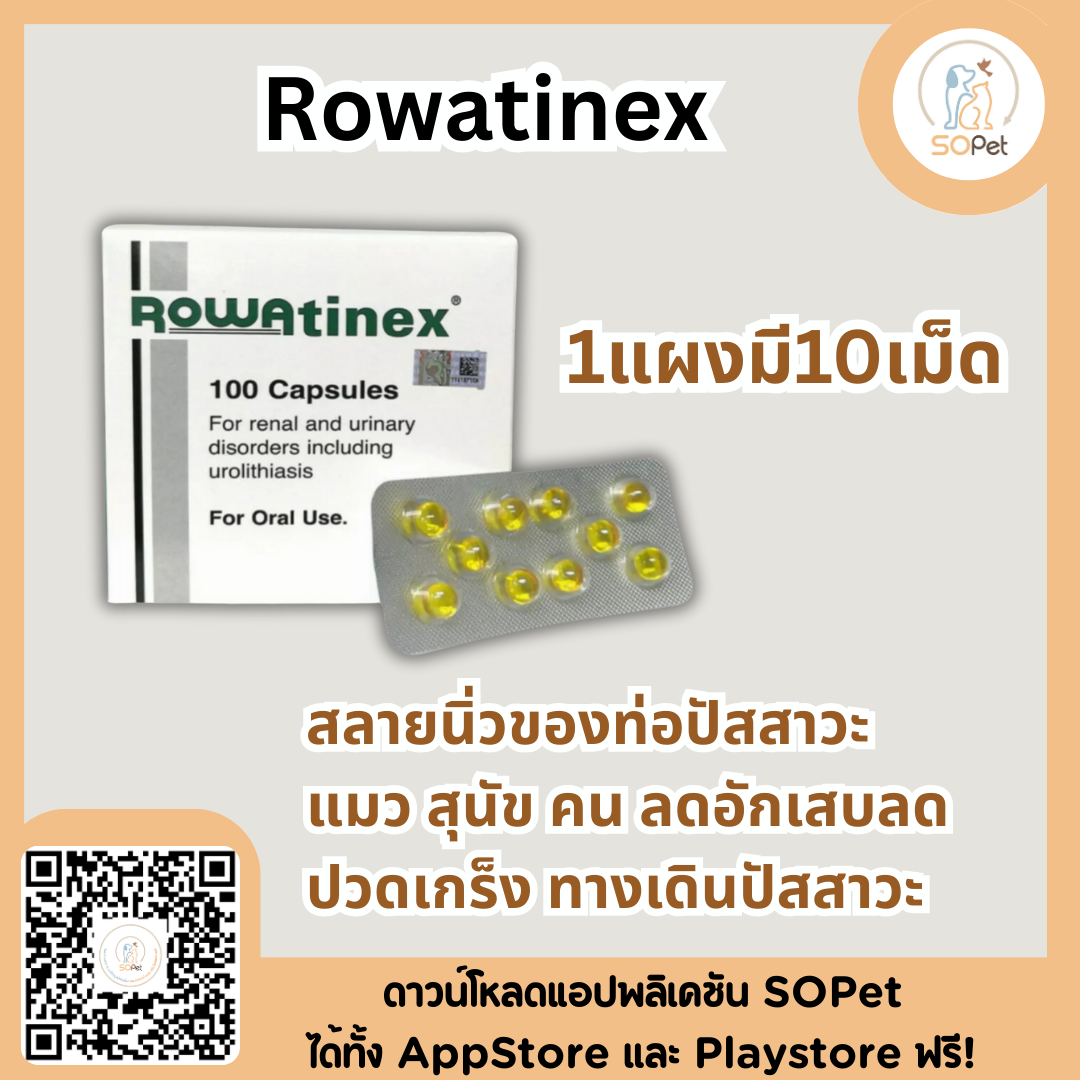 Rowatinex สลายนิ่วของท่อปัสสาวะ แมว สุนัข คน ลดอักเสบลดปวดเกร็ง ทางเดินปัสสาวะ