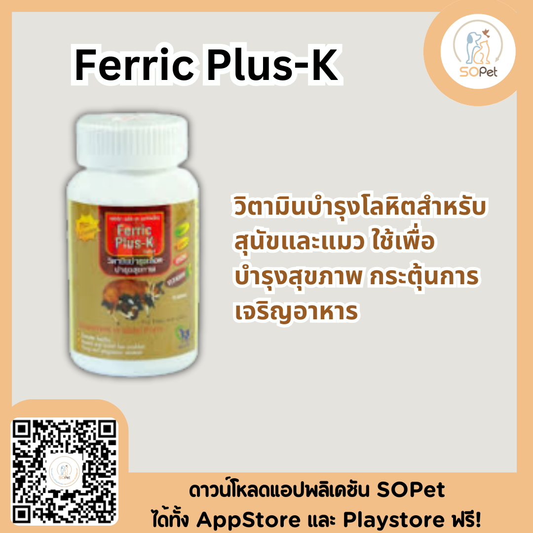 Ferric Plus-K ชนิดเม็ด วิตามินบำรุงเลือดและสุขภาพ สำหรับสุนัขและแมว บรรจุ 40 เม็ด