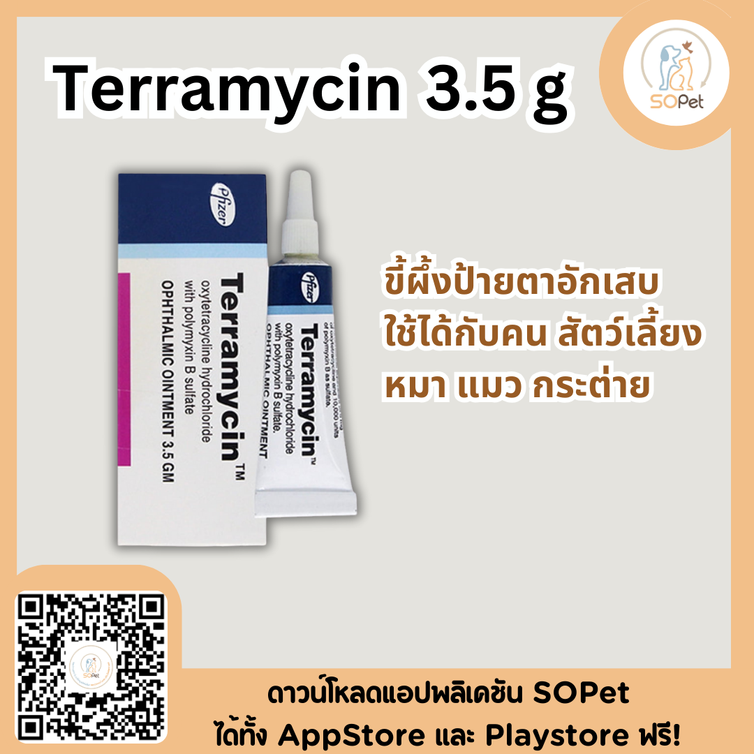 Terramycin ขี้ผึ้งป้ายตาอักเสบ ใช้ได้กับคน สัตว์เลี้ยง หมา แมว กระต่าย 3.5g