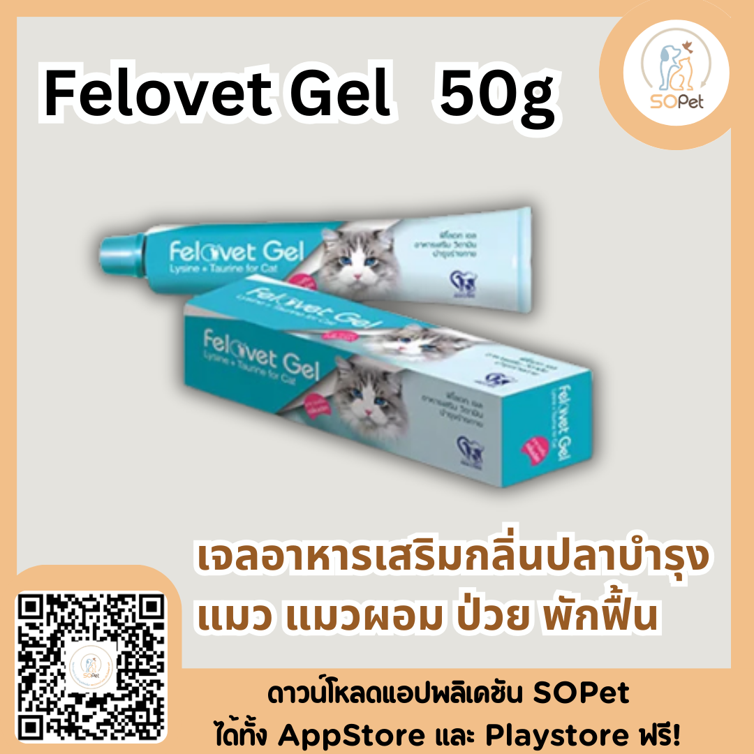 Felovet Gel  50g เจลอาหารเสริมกลิ่นปลาบำรุงแมว แมวผอม ป่วย พักฟื้น