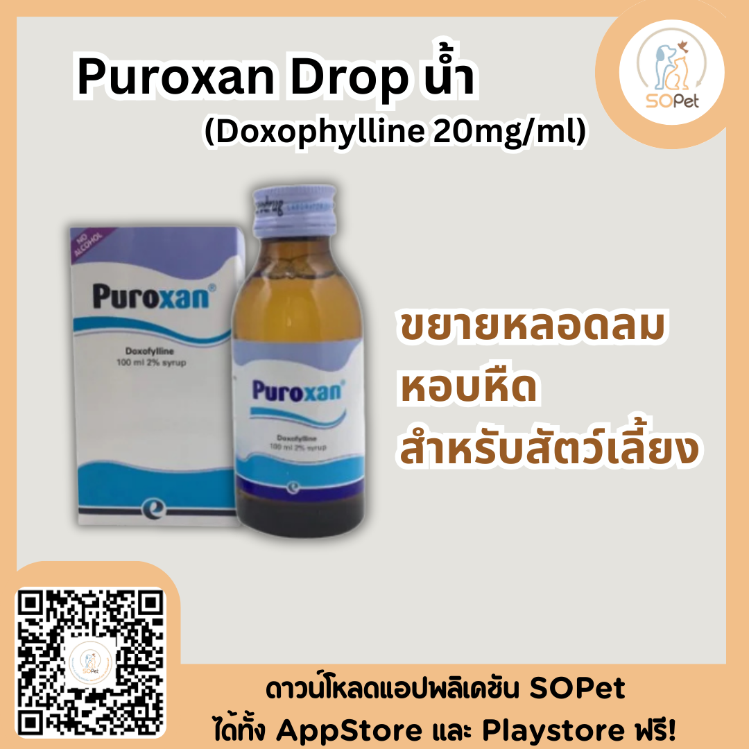 Puroxan Drop น้ำ (Doxophylline 20mg/ml) ขยายหลอดลม หอบหืด สำหรับสัตว์เลี้ยง