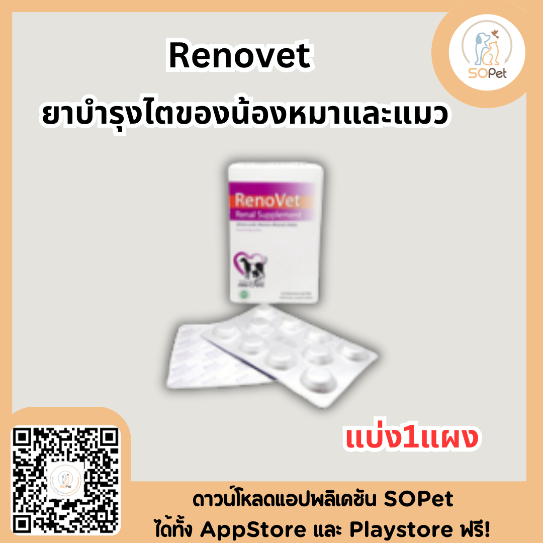 RenoVet บำรุงไตสุนัข บำรุงไตแมว