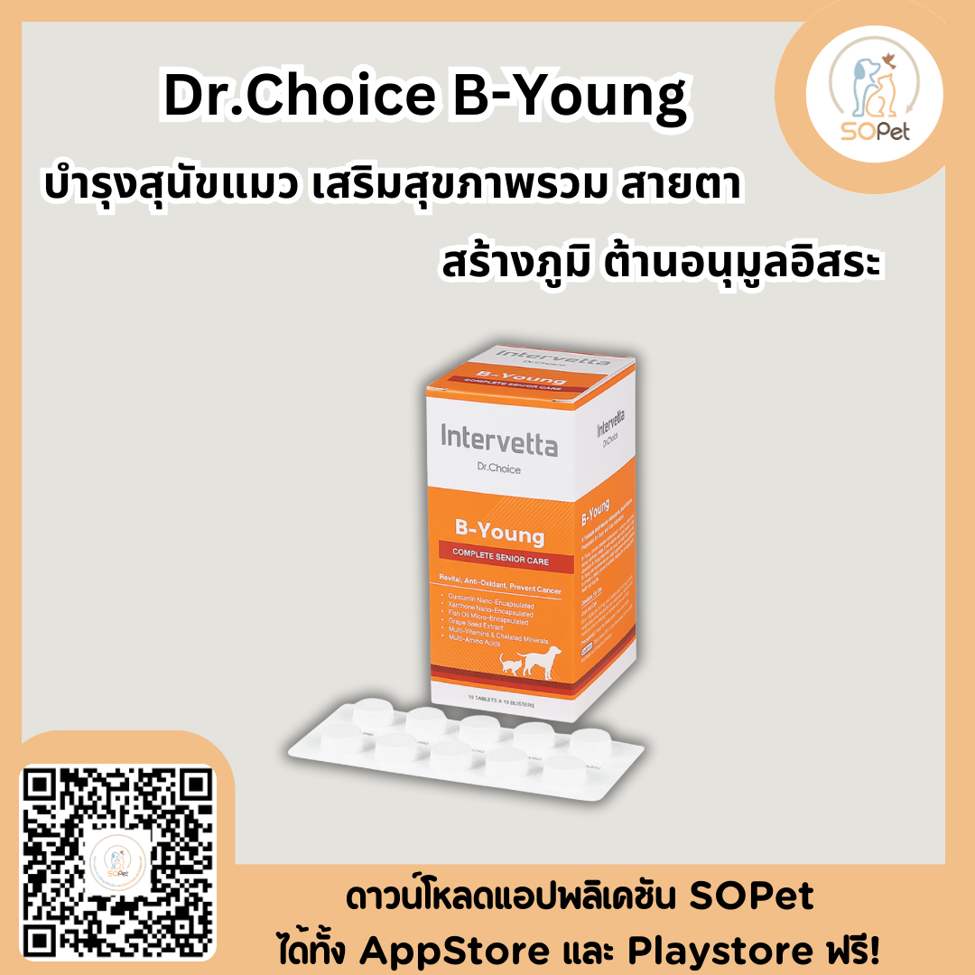 Dr.Choice B-Young บำรุงสุนัขแมว เสริมสุขภาพรวม สายตา สร้างภูมิ ต้านอนุมูลอิสระ