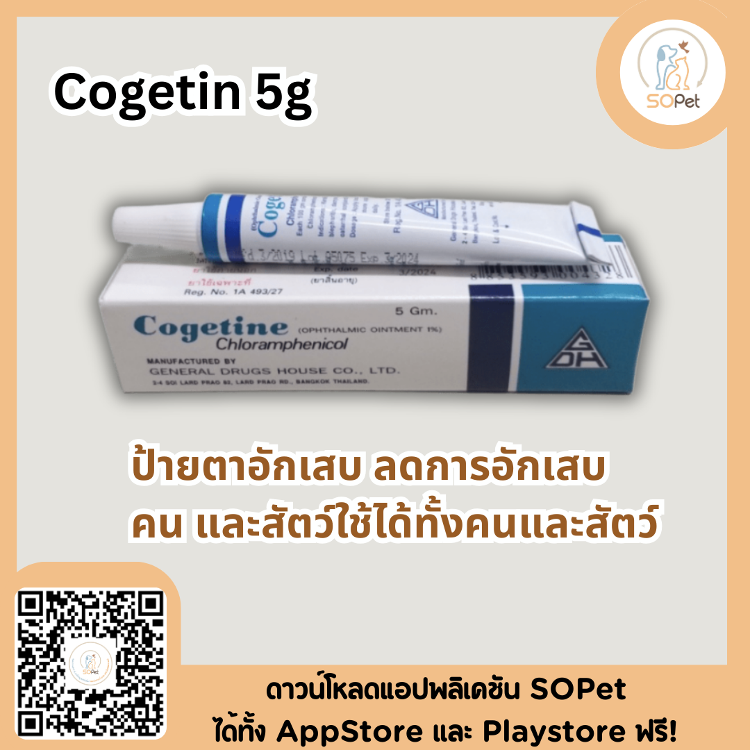 Cogetin 5 g. ป้ายตาอักเสบ ลดการอักเสบ