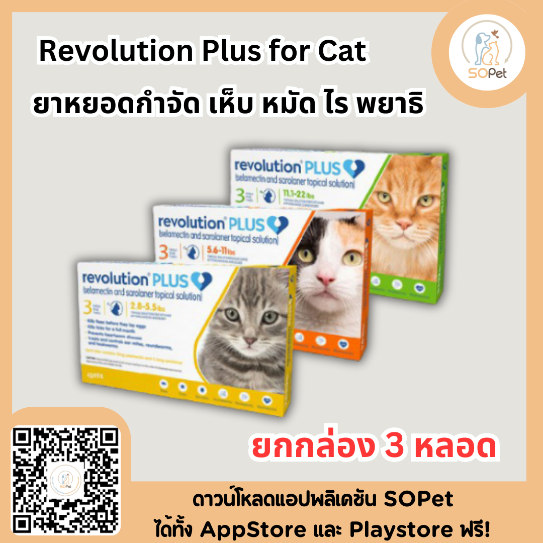 Revolution plus for cat ผลิตภัณฑ์รูปแบบหยดหลังป้องกัน เห็บ หมัด ไร พยาธิหนอนหัวใจ พยาธิไส้เดือน พยาธิปากขอ  '' ใช้สำหรับแมวอายุ 8 สัปดาห์ขึ้นไป ''