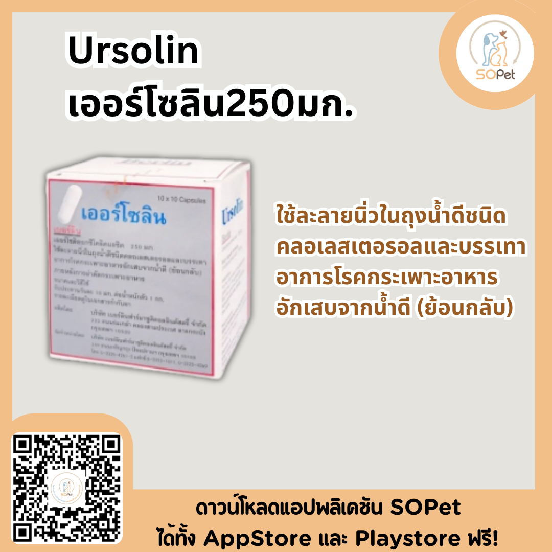 Ursolin 250มก. ช่วยขยายท่อน้ำดีสุนัขและแมว  แบ่งขายแผง