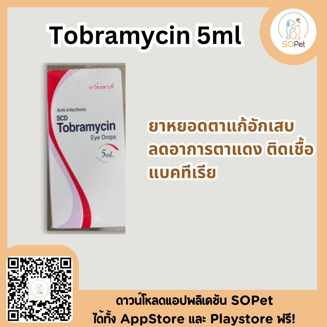 Tobramycin 5ml ผลิตภัณฑ์ชนิดหยอดตาแก้อักเสบ ลดอาการตาแดง ติดเชื้อแบคทีเรีย