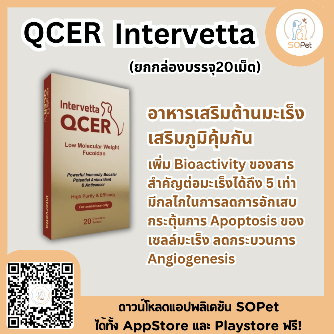 QCER อาหารเสริมต้านมะเร็ง เสริมภูมิคุ้มกัน (ยกกล่องบรรจุ20เม็ด) ยกกล่อง