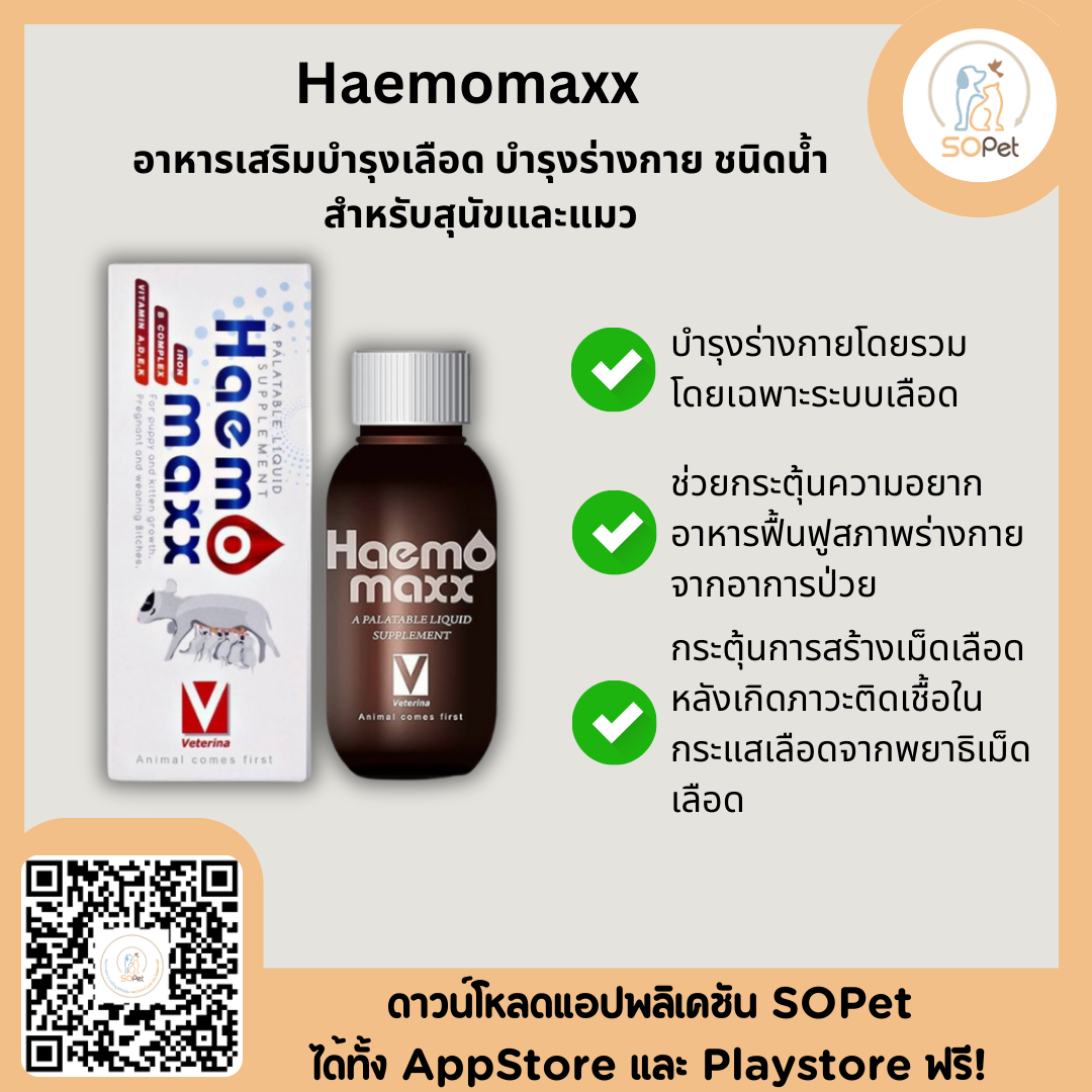 Haemomaxx 100 ml. อาหารเสริมบำรุงเลือด บำรุงร่างกาย ชนิดน้ำ สำหรับสุนัขและแม