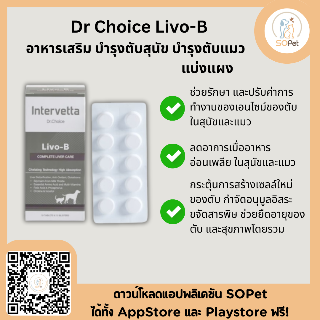 Livo-B Intervetta อาหารเสริม บำรุงตับสุนัข บำรุงตับแมว [แบ่งขาย10เม็ด]