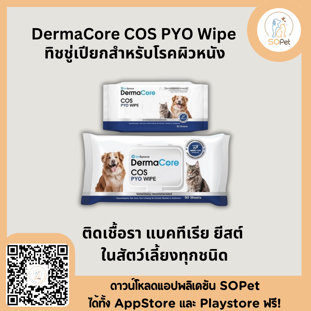 DermaCore COS PYO Wipe ผ้าเปียกสำหรับโรคผิวหนังติดเชื้อรา แบคทีเรีย ยีสต์ ในสัตว์เลี้ยงทุกชนิด บรรจุ 30-90 แผ่น
