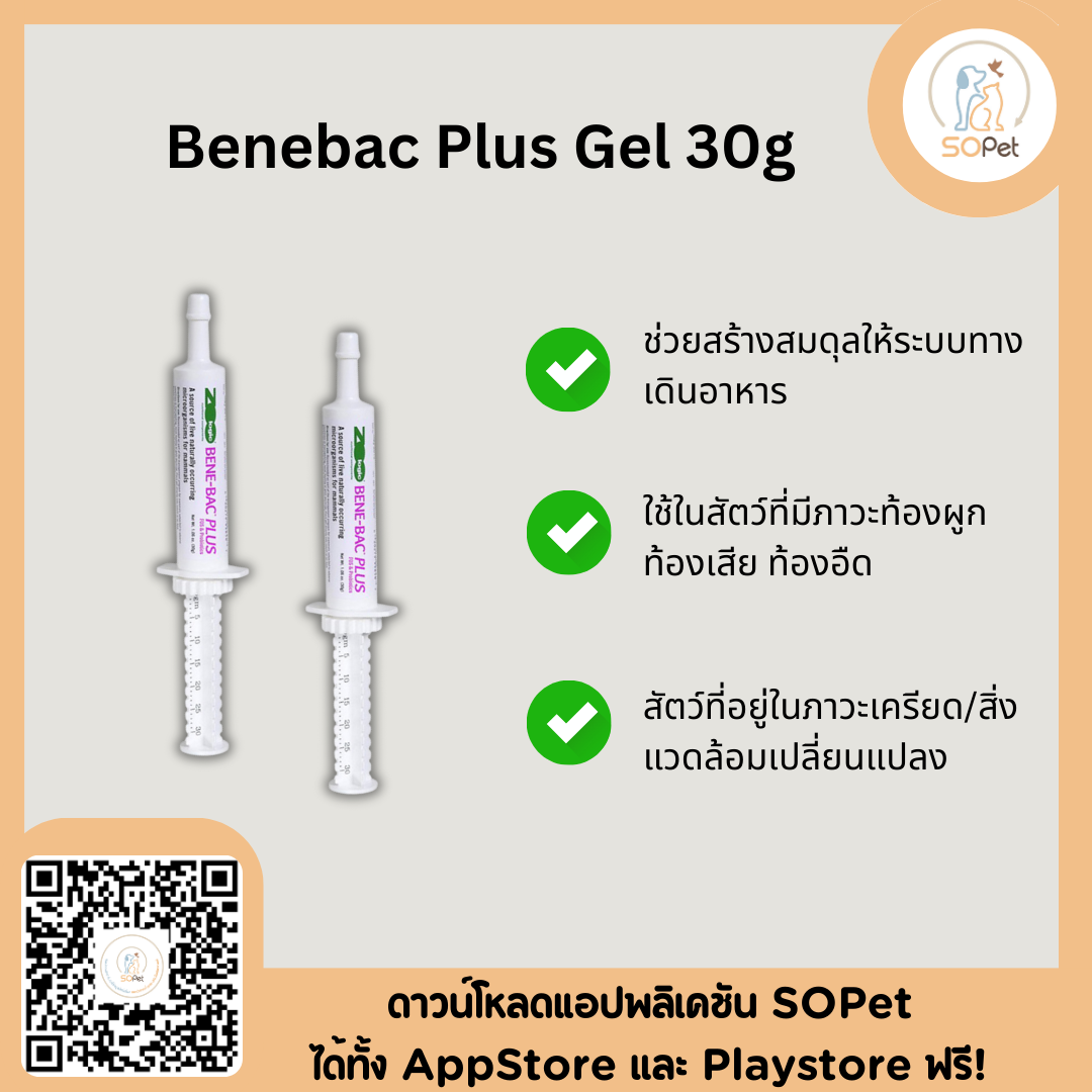 Benebac Plus Gel 30 g ช่วยย่อย เสริมภูมิ สุนัข แมว กระต่าย พรี+โพรไบโอติก