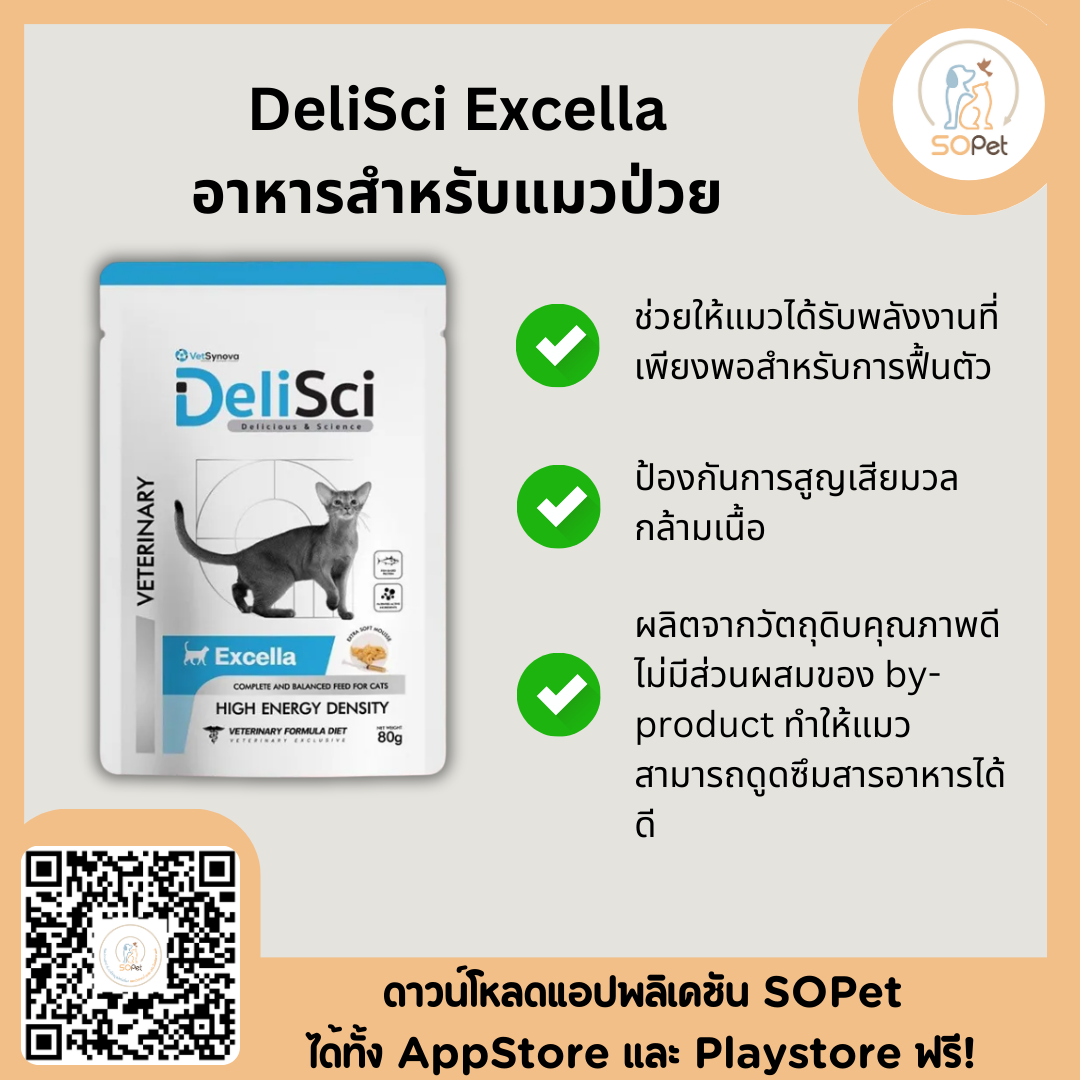DeliSci Excella 80 gอาหารแมวป่วยหลังผ่าตัดหรือกำลังพักฟื้นให้พลังงานสูง