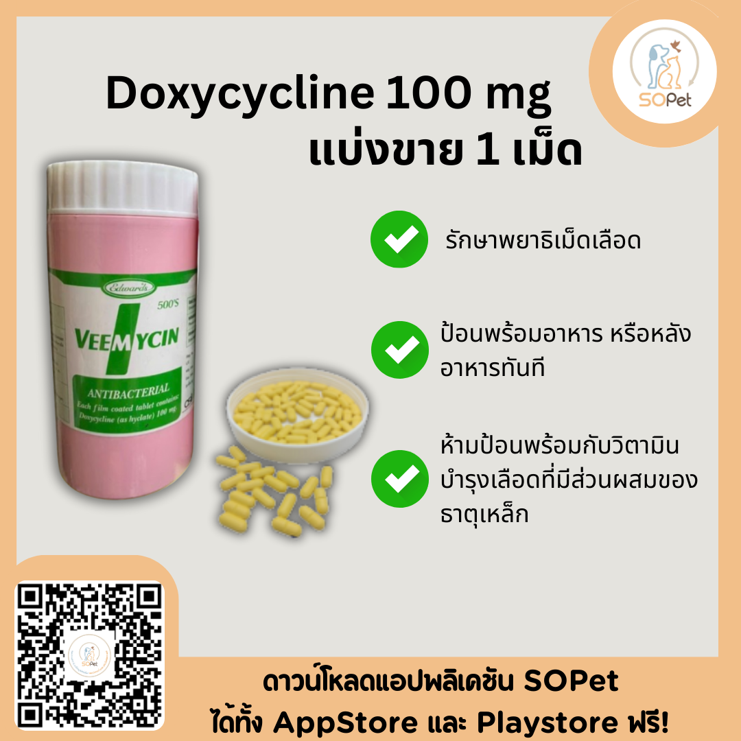 Doxycycline สำหรับดูแลและควบคุม พยาธิเม็ดเลือดสุนัข และ แมว 100 mg