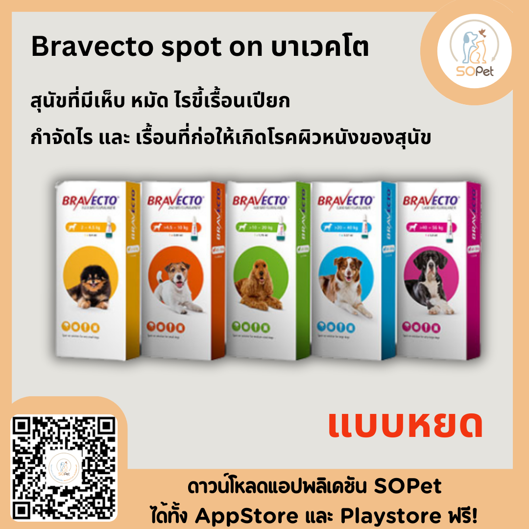 Bravecto spot แบบหยด (Dog) ป้องกันและยับยั้งเห็บหมัดไรขี้เรื้อน 2-4.5 kg