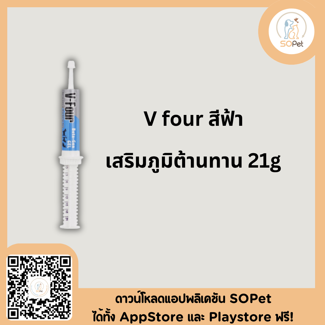 V four 21g. สำหรับสุนัข มี บำรุงเลือด บำรุงตับ กระตุ้นภูมิ Vfour V-Four