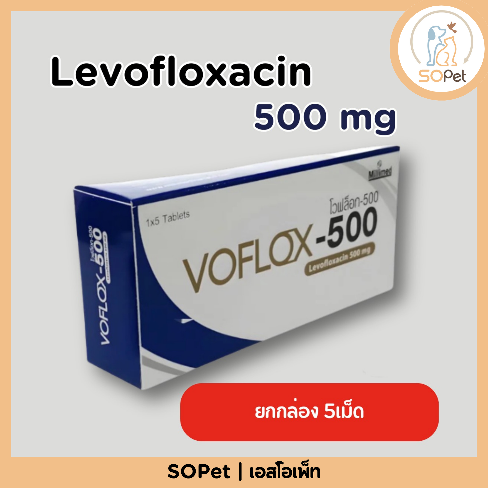 Levofloxacin 500 mg ยกกล่อง (5เม็ด)