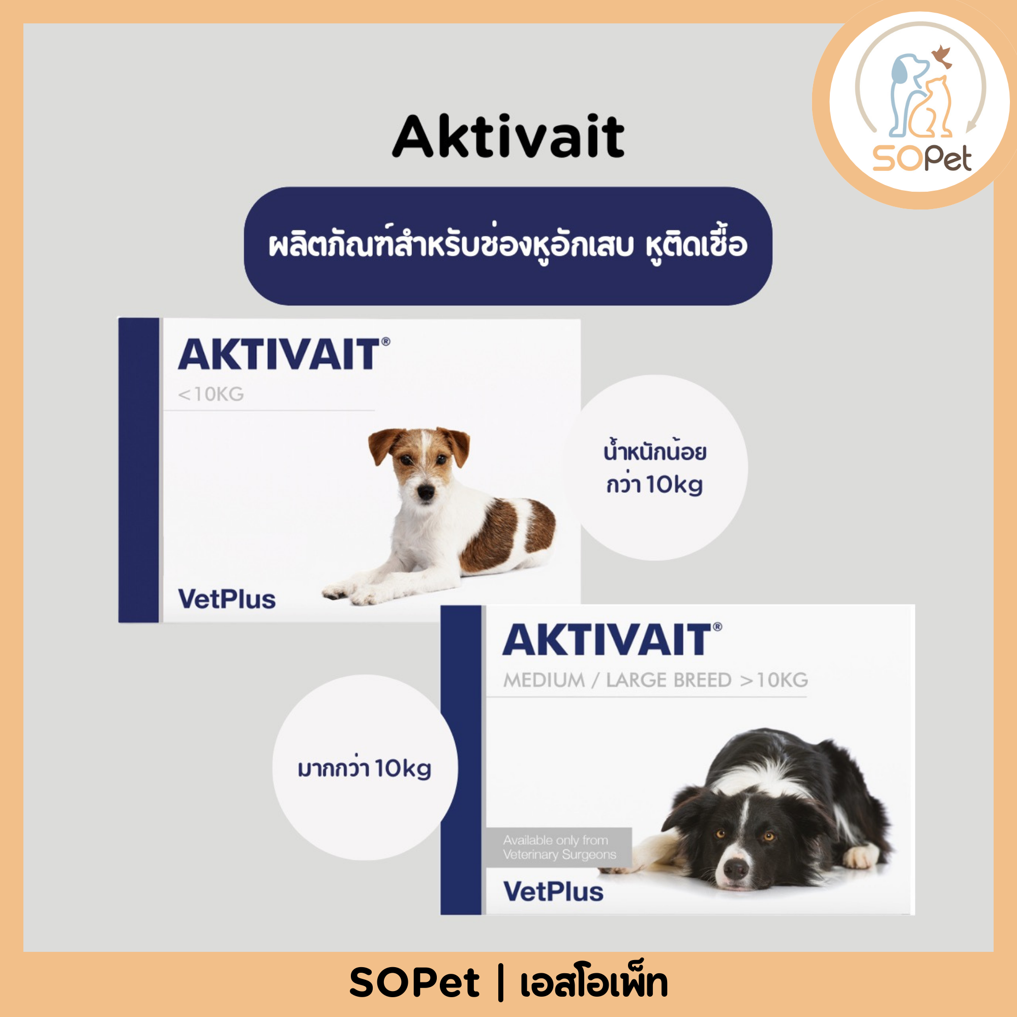 Aktivait (แอคติเวท) อาหารเสริมบำรุงสมองและระบบประสาท สำหรับสัตว์เลี้ยง แบ่งแผง-ยกกล่อง