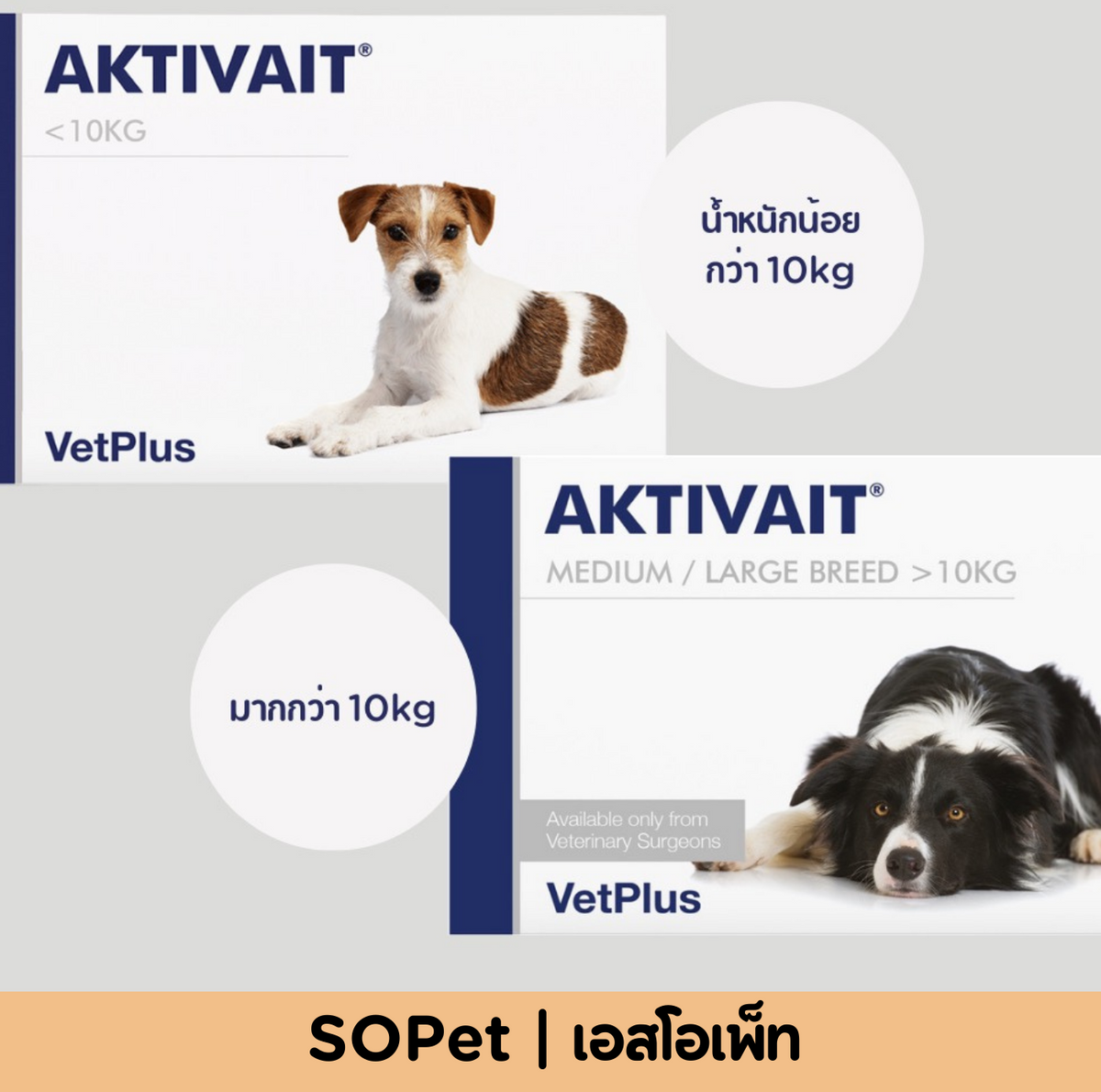 Aktivait (แอคติเวท) อาหารเสริมบำรุงสมองและระบบประสาท สำหรับสัตว์เลี้ยง แบ่งแผง-ยกกล่อง