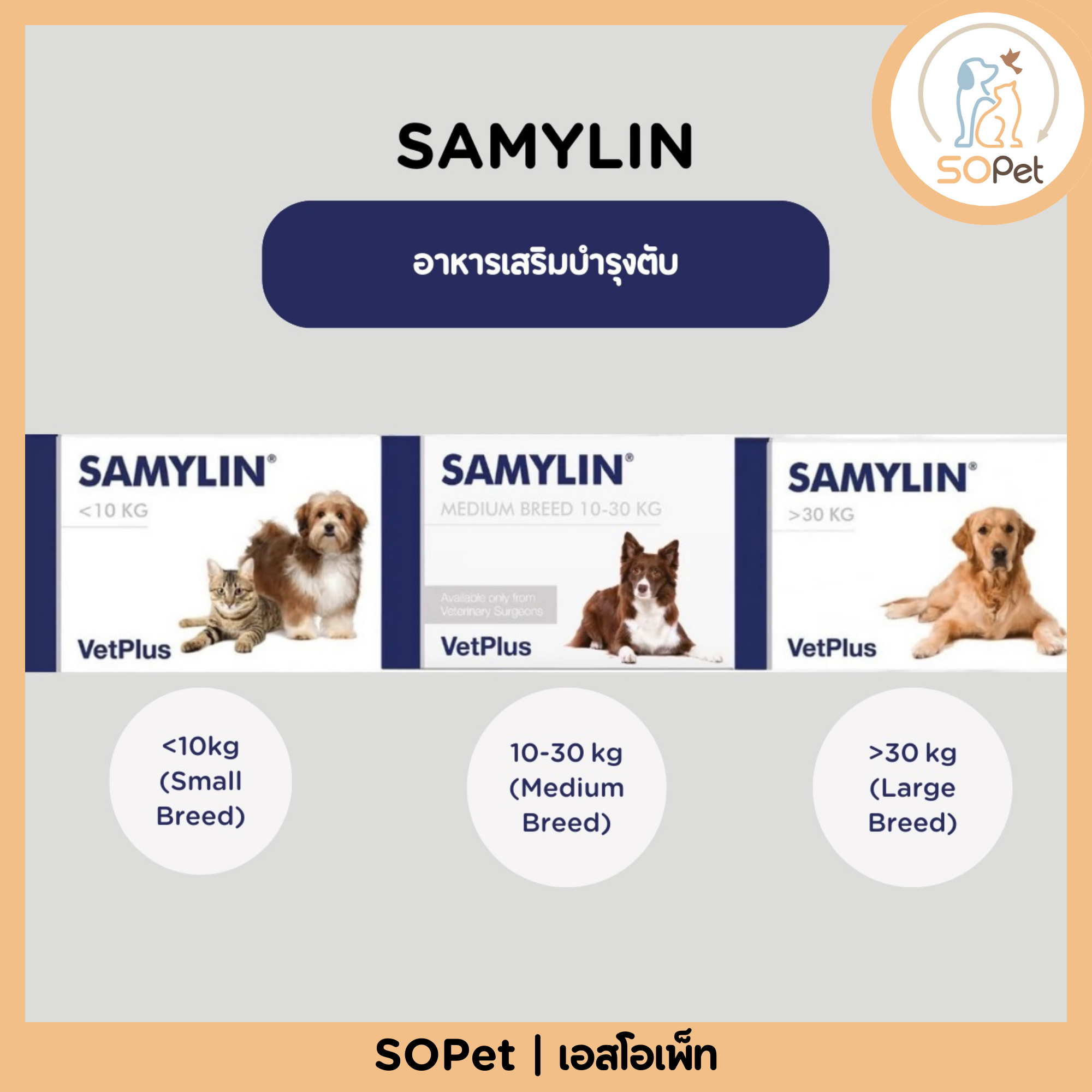 SAMYLIN อาหารเสริมบำรุงตับ ชนิดเม็ด(แบ่งแผง-ยกกล่อง) แพ็คเกจใหม่ล่าสุด!