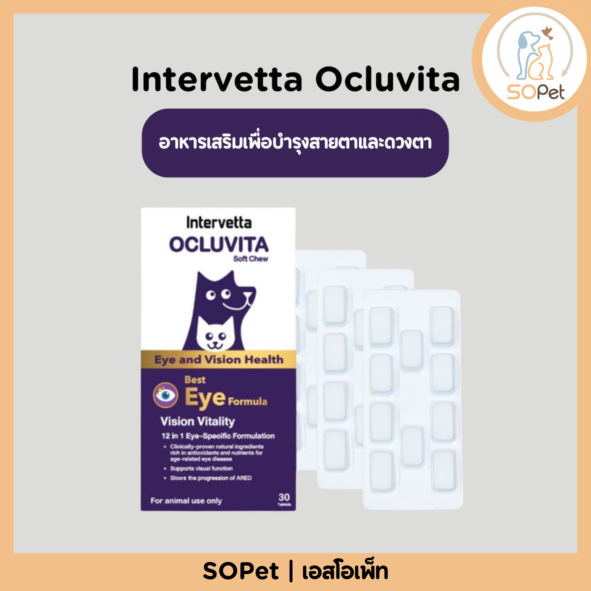 Intervetta Ocluvita Eye (Soft Chew) อาหารเสริมเพื่อบำรุงสายตาและดวงตา สำหรับสุนัขและแมว