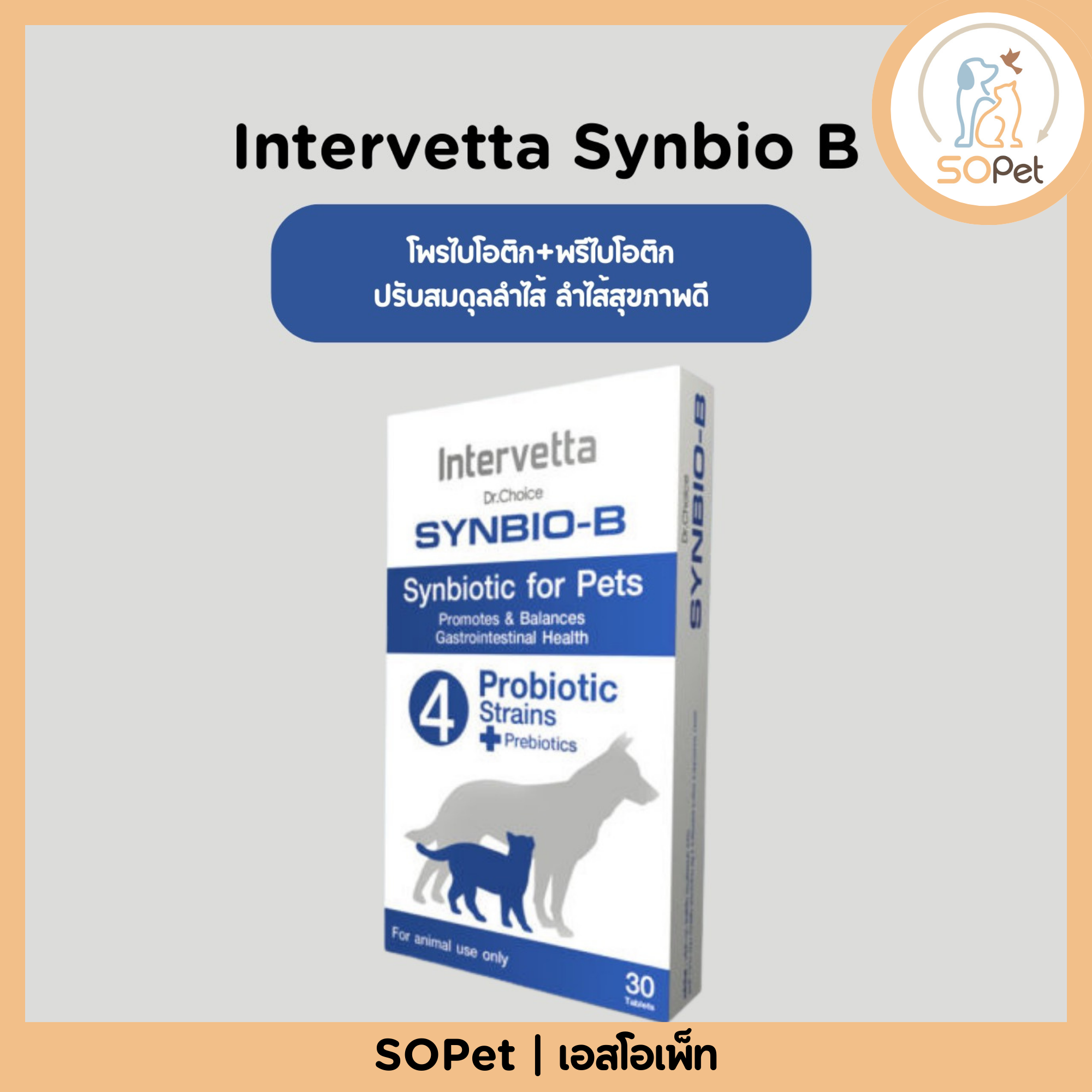 Intervetta Synbio B แมว-สุนัข โพรไบโอติก+พรีไบโอติก ปรับสมดุลลำไส้ ลำไส้สุขภาพดี
