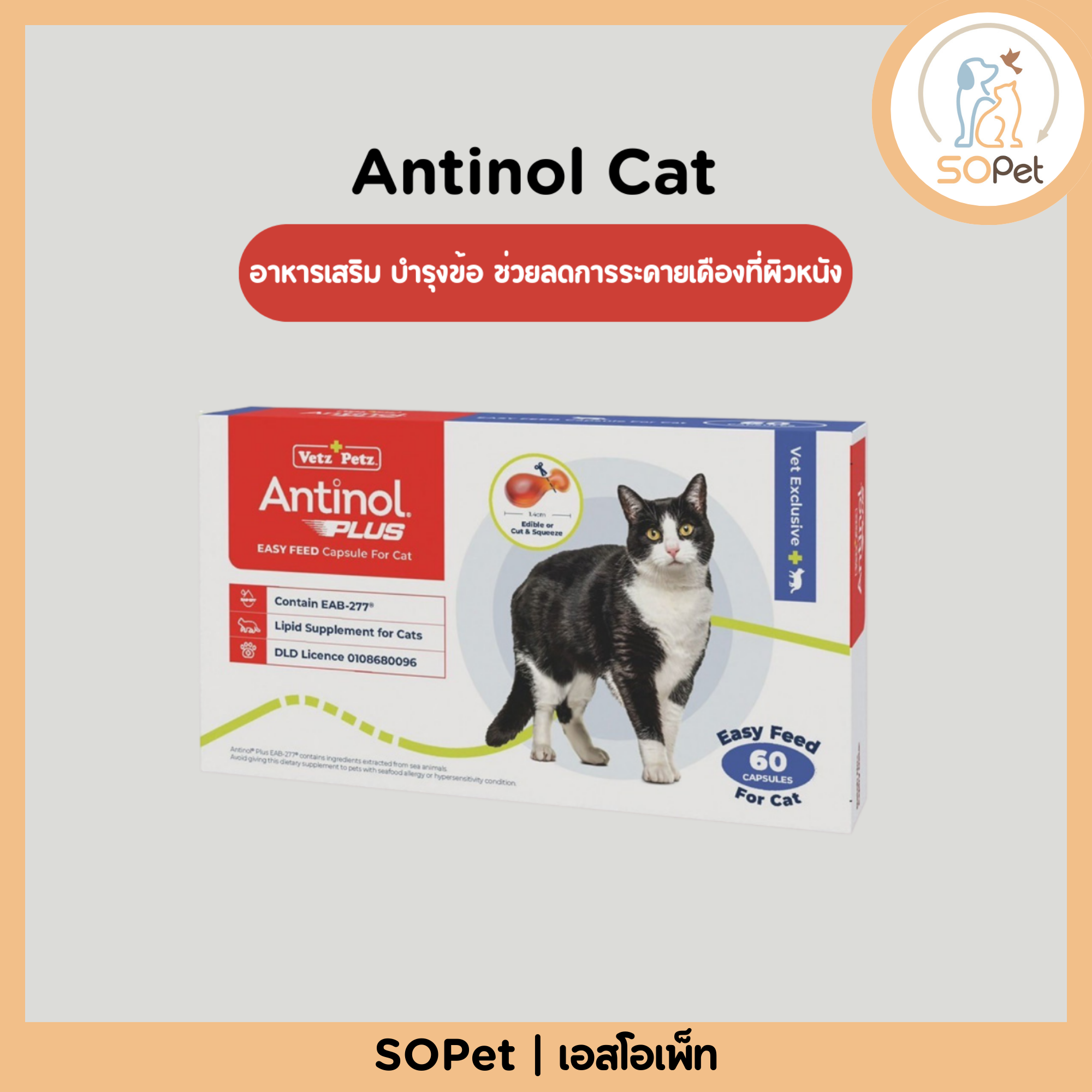 Antinol Cat แอนทินอล อาหารเสริม บำรุงข้อ ช่วยลดการระคายเคืองที่ผิวหนัง