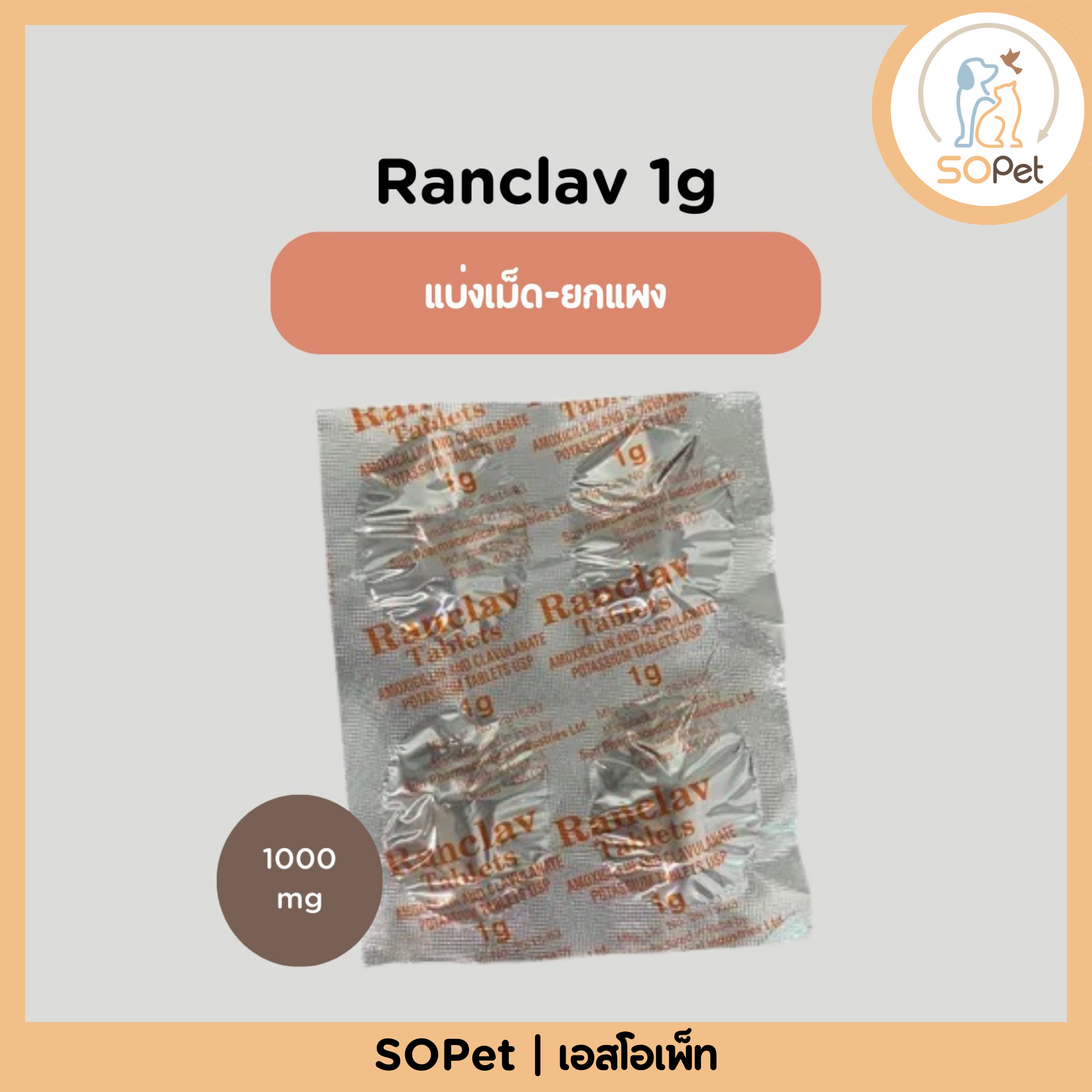 Ranclav 1g (Amoxycillin-Clavulanic 1g) สำหรับสัตว์เลี้ยง แบ่งเม็ด-ยกแผง