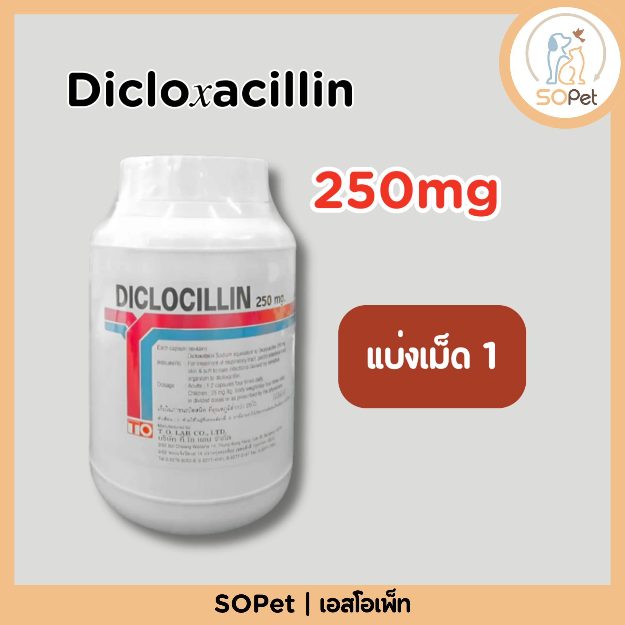 Diclo𝑥acillin 250mg ไดคล็อกซ่า 250mg