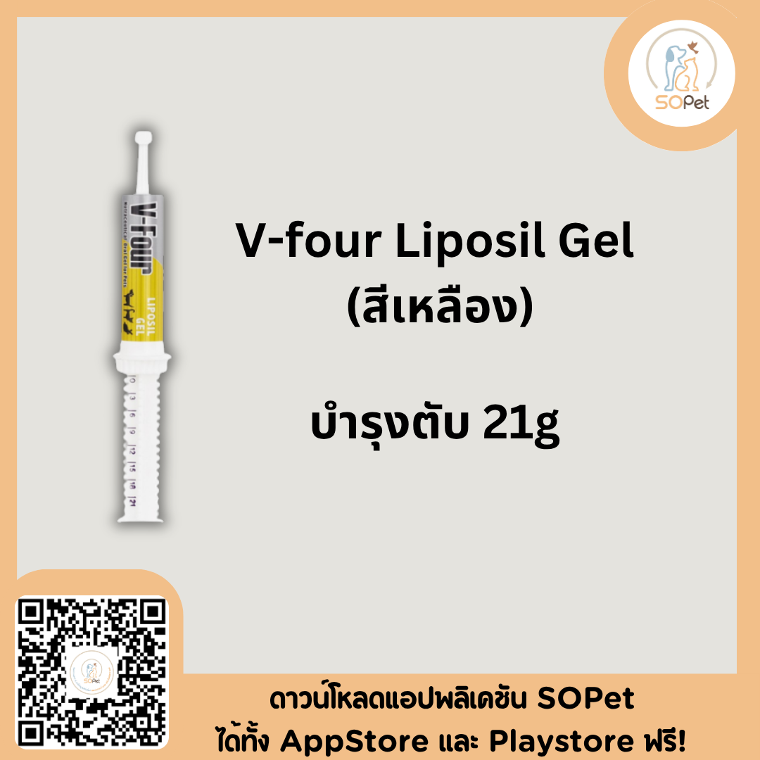 V four 21g. สำหรับสุนัข มี บำรุงเลือด บำรุงตับ กระตุ้นภูมิ Vfour V-Four