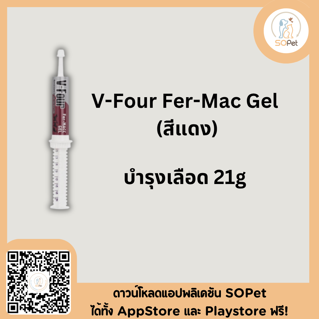 V four 21g. สำหรับสุนัข มี บำรุงเลือด บำรุงตับ กระตุ้นภูมิ Vfour V-Four