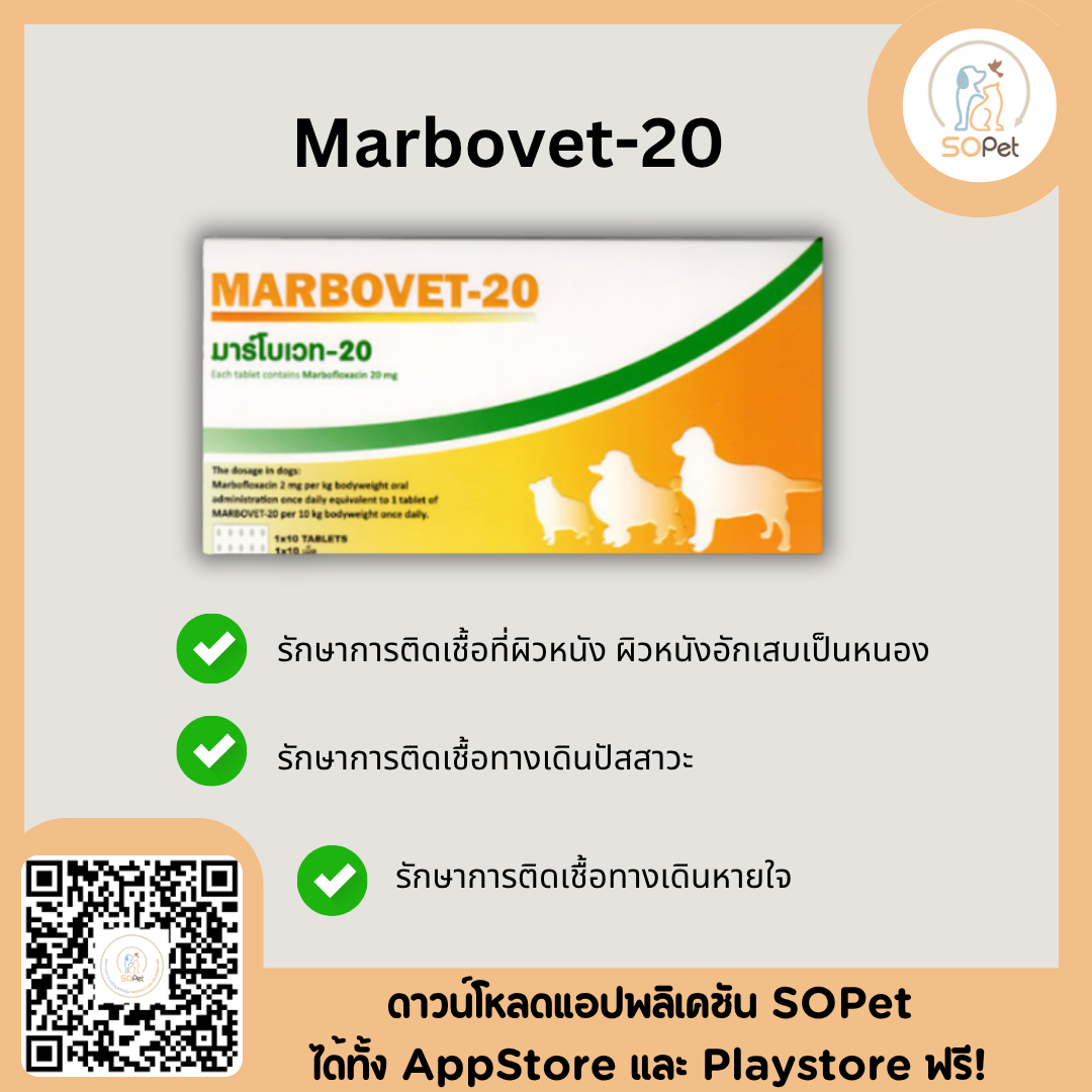 marbocyl ผลิตภัณฑ์ป้องกันและควบคุมเชื้อสำหรับสุนัข คุณภาพสูง