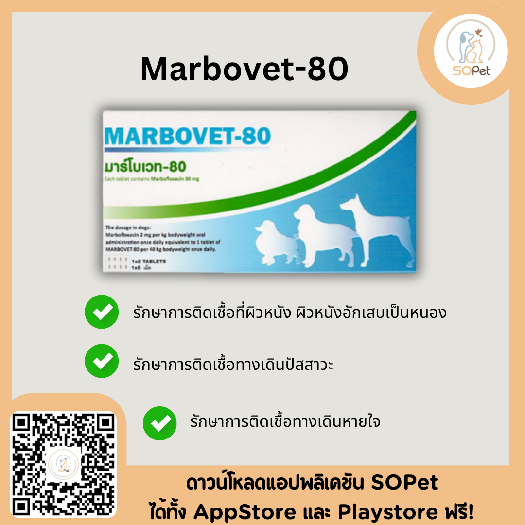 marbocyl ผลิตภัณฑ์ป้องกันและควบคุมเชื้อสำหรับสุนัข คุณภาพสูง