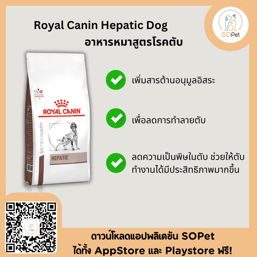 Royal canin hepatic dog อาหารสุนัข โรคตับ เพื่อลดการทำลายตับ ลดความเป็นพิษในตับ