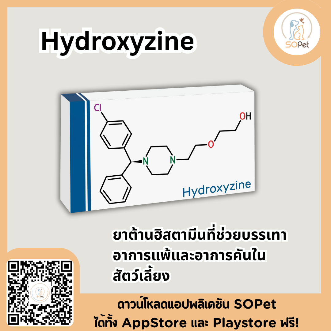 Hydroxyzine 10mg, 25mg ผลิตภัณฑ์ต้านฮิสตามีนที่ช่วยบรรเทาอาการแพ้และอาการคันในสัตว์เลี้ยง มีประสิทธิภาพในการลดอาการแพ้ต่างๆ