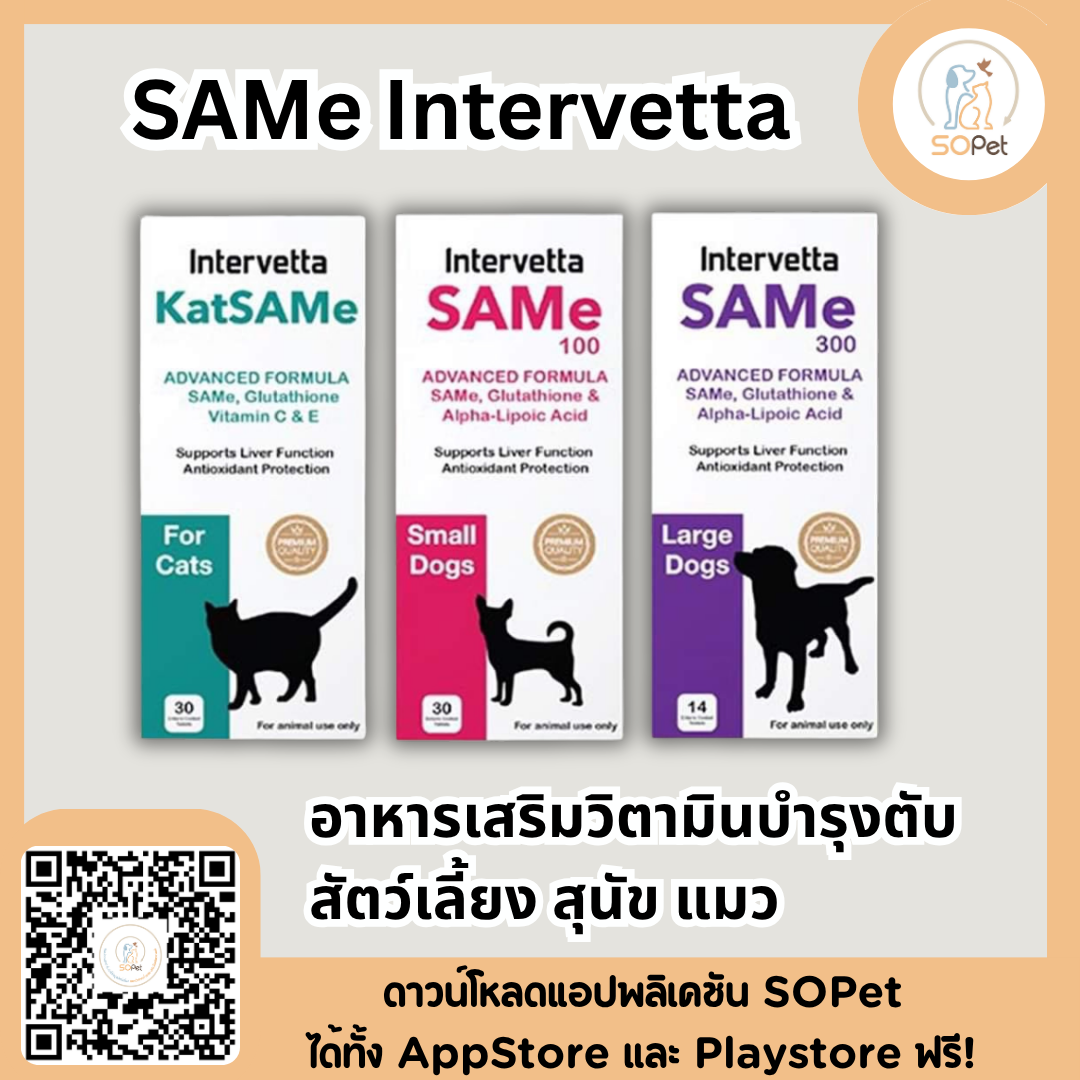 SAMe Intervetta อาหารเสริมวิตามินบำรุงตับ สัตว์เลี้ยง สุนัข แมว Liver supplement