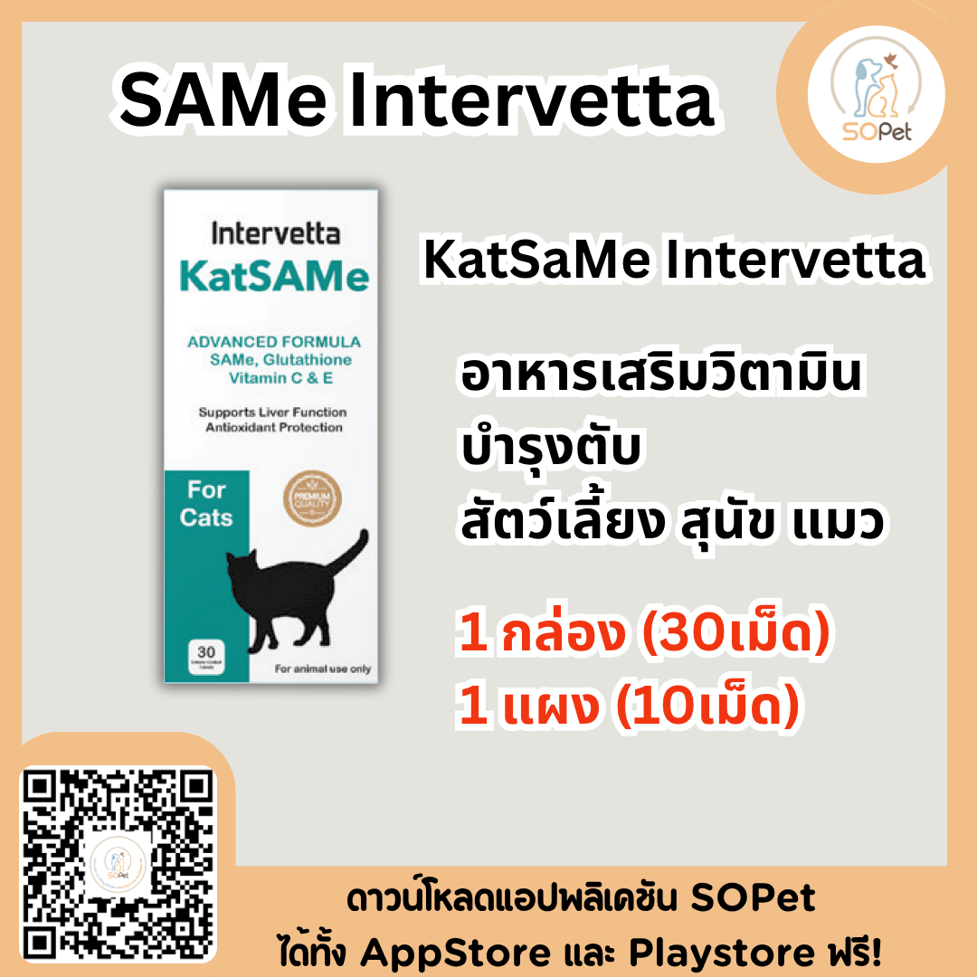 KatSaMe Intervetta อาหารเสริมบำรุงตับ สำหรับแมว