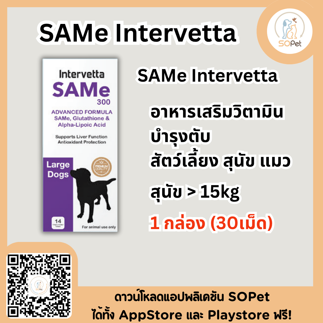 SAMe Intervetta อาหารเสริมวิตามินบำรุงตับ สัตว์เลี้ยง สุนัข แมว Liver supplement